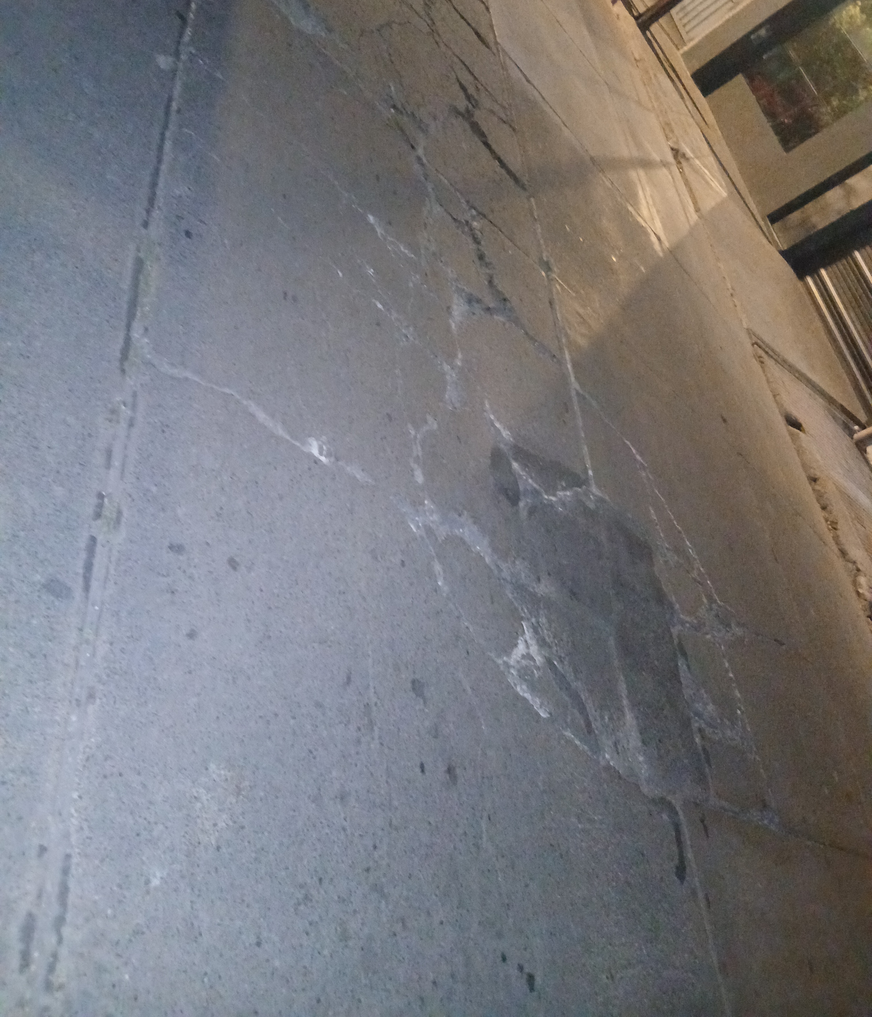 Foto de reporte público